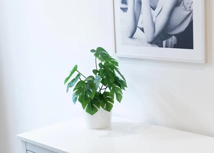 Timeless @ Marquesa Palace Porto